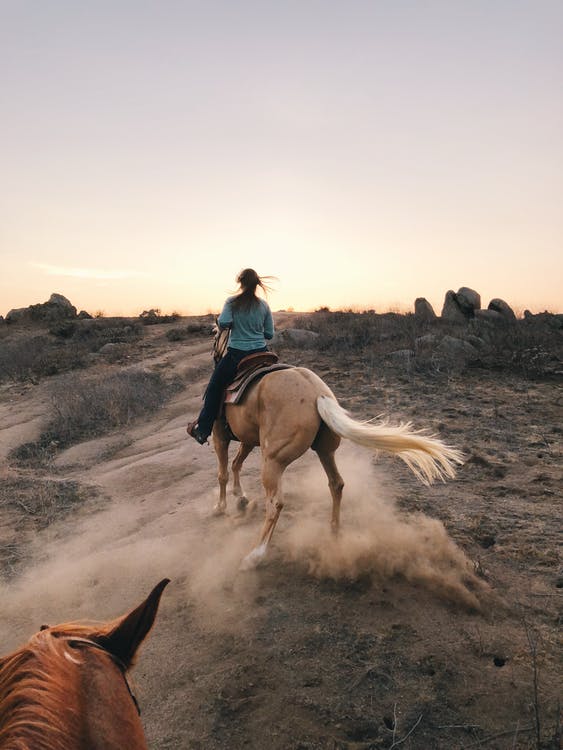 monta a cavallo, attività all'aperto